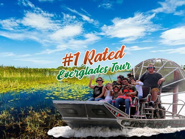 Advantages Of A Private Airboat&nbsp;Ride